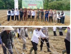 Wakil Bupati Aceh Singkil H.Hamzah Sulaiman SH Turun Tangan Tanam Jagung Kwartal lll Ketahanan Pangan Di Gunung Meriah