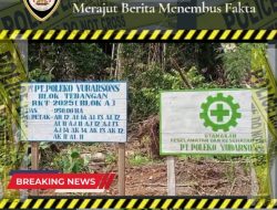 Warga Obi Desak Cabut Konsesi PT Poleko, Tuding Cemari Sungai dan Picu Banjir
