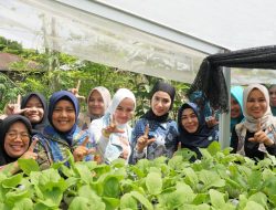 Dukung Ketahanan Pangan, Ny. Endang Ajak TP PKK Tanjungbalai Tinjau Kebun Hidroponik di Padang Brahrang
