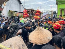 Ritual Kebo-keboan Alasmalang, Warisan Leluhur yang Menjadi Napas Budaya dan Ekonomi Banyuwangi