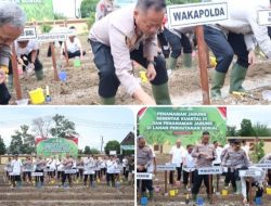 Dukung Swasembada Pangan, Polda Babel Gelar Penanaman Jagung Serentak Kuartal III