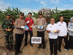 Penanaman Jagung Serentak Kuartal III Di Lahan Perhutanan Sosial, Polres Bangka Barat Dukung Ketahanan Pangan Nasional