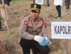 68,3 Hektar Lahan disiapkan Polres Bangka Barat dan Pemerintah Kabupaten Untuk Penanaman Jagung