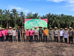 Polres Pasaman Barat Menggelar Penanaman Jagung Serentak Kuartal III di Lahan Perhutanan Sosial