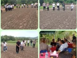 Penamaan Jagung Serentak Kwartel Ke tiga Dilaksanakan Di Desa Waeperang Kabupaten Buru