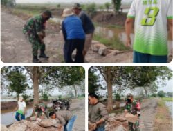 Babinsa Karangpatri Kerja Bakti Bangun Jalan Bersama Warga, Warga: Dulu Jalan Ini Rusak Parah