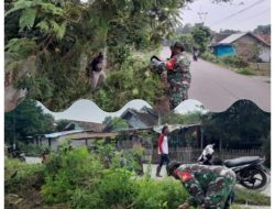 TNI di Karangharja Bersama Warga Kerja Bakti, Bangun Kepedulian dan Kebersamaan