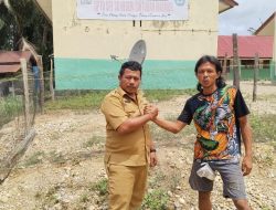 Mas Nyoto Petani Tangguh Dari Sintuban Makmur Tetap Menginspiratifkan Ketahanan Pangan Di lahan Perintah