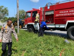 Polda Babel Dan Damkar Gerak Cepat Padamkan Karhutla Di Jalur Perkantoran Gubernur