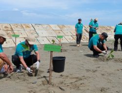 Pemkab Aceh Barat Tanam Seribu Pohon di Pantai Batee Puteh Peringati Hari Lingkungan Hidup Sedunia