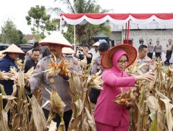 Kapolres Langkat Pimpin Panen Raya Jagung Kuartal III 2025 Secara Virtual