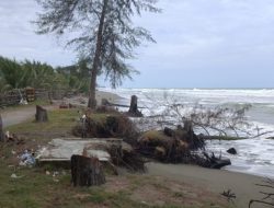 Abrasi Pantai Wisata Naga Permai Nagan Raya Meningkat, LSM GMBI Desak Pemerintah Bertindak