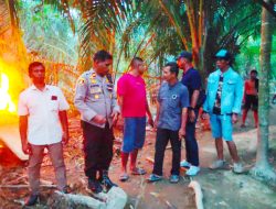 Polsek Tanjung Pura Musnahkan Tiga Lokasi Penyalahgunaan Narkoba di Desa Pekubuan