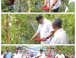 Pemkab Deli Serdang akan selalu hadir menyeluruh di Sektor Pertanian