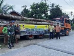 Mantan Bupati Aceh Singkil, Dulmusrid kirim Bantuan Batang kelapa Satu Tronton Untuk Bangun Jembatan Darurat Di Ruas Jalan Putus Pasca Banjir Menuju Singkil. 