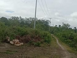 PLN Cabang Namlea Diduga Lakukan PMH, Pasang Tiang Listrik di Lahan Warga Tanpa Izin
