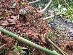 Satu Minggu Distribusi Air PDAM Wilayah Desa Senduro Mati Diperkirakan Hari Ini Kembali Normal
