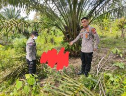 Warga Desa Buluh Telang Temukan Mayat Mr X