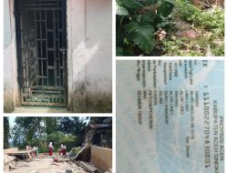 Seorang Janda Lansia Miskin Bernama Uppang Br ,Barus Pindah Tempat Karna Tak ada Perhatian Dari Pemerintah Desa Alur Linci.
