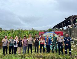 Polres Bangka Barat Rehabilitasi Lahan Kritis dalam Panen Raya Jagung Serentak Kuartal IV Dukung Ketahanan Pangan Nasional
