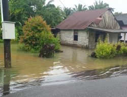 Banjir Rob Belo Laut: Laut Datang Tepat Waktu, Solusi Selalu Terlambat