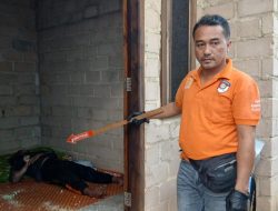 Polres Bangka Barat Evakuasi Penemuan Mayat di Mentok, Polisi Pastikan Tak Ada Tanda Kekerasan
