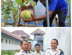 Lapas Banyuwangi Buktikan Lahan Terbatas Bukan Penghalang Dukung Program Swasembada Pangan