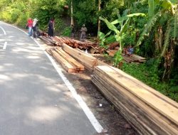 Cuaca Ekstrem, Aparat Penegak Hukum Didesak Perketat Pengawasan Hutan: Penambang Kayu Ilegal Semakin Brutal