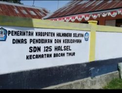 Edi Tatipatah Guru PPPK Di Duga Bodong, Tidak Pernah Mengabdi SDN 125 Dan Ngaku Wartawan.