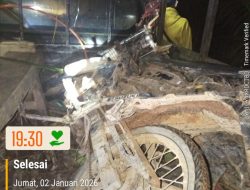 Dua DPO Pencurian Sawit PT BPL Ditangkap Polsek Kelapa Polres Bangka Barat di Tempilang