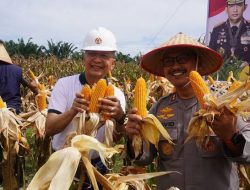 Polres Langkat Fasilitasi Akses KUR dan Penyerapan Bulog, Perkuat Ekosistem Jagung untuk Ketahanan Pangan Nasional