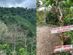 Gunung Pesawaran Jadi Pilihan Wisata Alam Ramah Pendaki Pemula