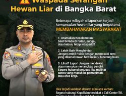 Respons Cepat Polres Bangka Barat Soal Ancaman Buaya Tuai Apresiasi Warga, Kapolres Siapkan Pemetaan dan Hotline Laporan