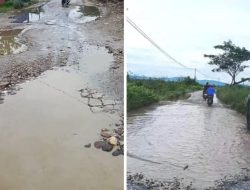 Jalan Waelo–Debowae Rusak Parah, Warga Desak Kementerian PUPR Segera Bertindak