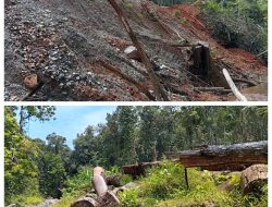 Ancaman di Balik Hutan Obi: Ketika Eksploitasi Brutal Menghadang Program Ketahanan Pangan Pemerintah