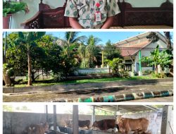 Lumajang Kondisi Aman Ketersediaan Daging Sapi, Ayam & Telur Di Lebaran Idul Fitri 1447 H/2026 M