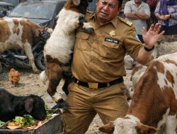 Bupati Halmahera Selatan Diminta Copot Camat Obi, Dinilai Tidak Kompeten