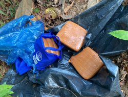 Polsek Mendo Barat Amankan Temuan Bungkusan Diduga Ganja Tak Bertuan Di Kebun Warga
