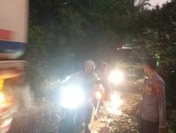 Hujan Deras dan Angin Kencang Tumbangkan Pohon di Lampung Tengah, Arus Lalin Sempat Macet.
