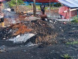 Asap Kapur Ilegal Selimuti Permukiman Waelo: PAD Hilang, Lingkungan Terancam