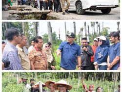 Berjemur di Kutalimbaru, Bupati Deli Serdang dr.H.Asri Ludin Tambunan borong Cabai petani