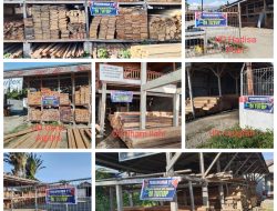 Masyarakat Mengelu, Pangkalan Kayu di Kota Bacan Tutup Sementara.