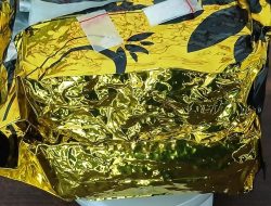 Ditresnarkoba Polda Babel Tangkap Bandar Narkoba Di Pangkalpinang, 2,068 Kilogram Sabu Diamankan