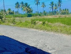 Pemkab Lumajang Ditengarai Tidak Mampu Memperbaiki Ruas Jalan Gesang – Pasrujambe