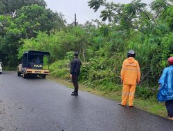 Polres Bangka Barat Bersama Warga Bersihkan Pohon Tumbang, Akses Jalan Cepat Dipulihkan