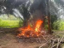 Polisi Bongkar Gubuk Diduga Lokasi Pesta Sabu di Gunung Sugih