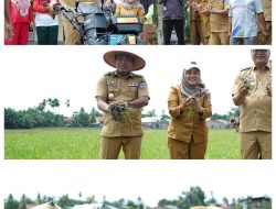 Bupati Deli Serdang Percepat Modernisasi Pertanian Demi Efisiensi dan Produktifitas